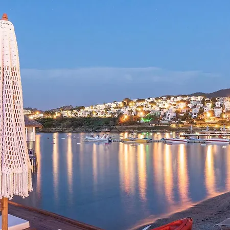 The Sign Highlight Αλικαρνασσός